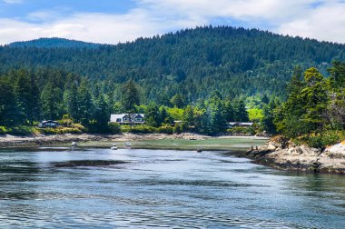 Brentwood Körfezi, Britanya Kolumbiyası, Kanada 'da Vancouver Adası' ndaki Victoria yakınlarında her yıl bir milyondan fazla ziyaretçi aldığını iddia eden bir grup çiçek sergisi.