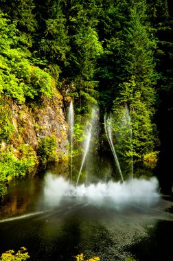 Butchart Gardens, Kanada 'nın Brentwood Körfezi' nde her yıl bir milyondan fazla ziyaretçi aldığını iddia eden Victoria yakınlarındaki bir grup çiçek bahçesidir..