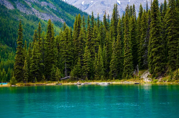 Lago Maligne Spirit Island Cerca Jasper Alberta Excursiones Barco Spirit — Foto de Stock