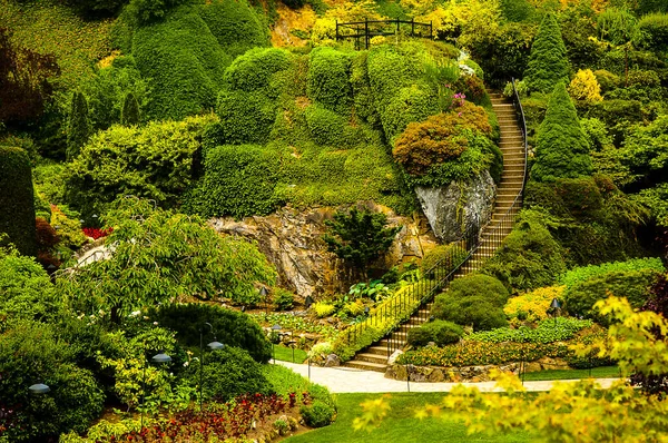 Butchart Gardens Est Groupe Jardins Fleuris Brentwood Bay Colombie Britannique — Photo