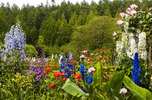 位于加拿大不列颠哥伦比亚省布伦特伍德湾 温哥华岛维多利亚附近的一组花卉展览花园声称每年接待100多万游客 — 图库照片