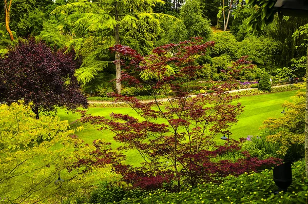 Skupina Květinových Zahrad Brentwood Bay Britská Kolumbie Kanada Blízkosti Victoria — Stock fotografie