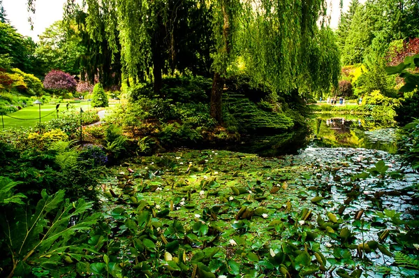 Group Floral Display Gardens Brentwood Bay British Columbia Canada Victoria — Stock Photo, Image