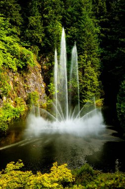 Victoria yakınlarındaki Kanada 'daki British Columbia' daki Vancouver Adası 'nda çiçek ve çeşme sergisi