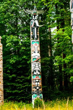 Totem kutupları, Kuzey Amerika ve Kanada 'nın kuzeybatı Pasifik kıyılarındaki yerli halkların kültürleri tarafından genellikle sedir, ama çoğunlukla Batı Kırmızı Sedir ağacından oyulmuş anıtsal heykellerdir.. 