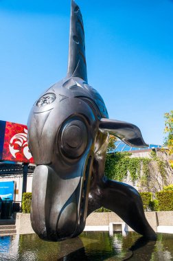 Vancouver Kanada, Stanley Park 'taki Vancouver Akvaryumu. Vancouver için önemli bir turistik ilgi merkezi olmasının yanı sıra, akvaryum deniz araştırmaları, korunma ve deniz hayvanları rehabilitasyonu merkezidir.. 