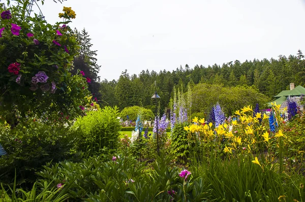加拿大不列颠哥伦比亚省温哥华岛维多利亚附近花园的花卉展览 — 图库照片