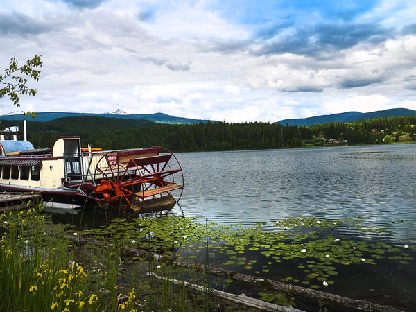 Nenúfares Bote Remos Hermoso Lago Holandés Clearwater Columbia Británica Canadá — Foto de Stock