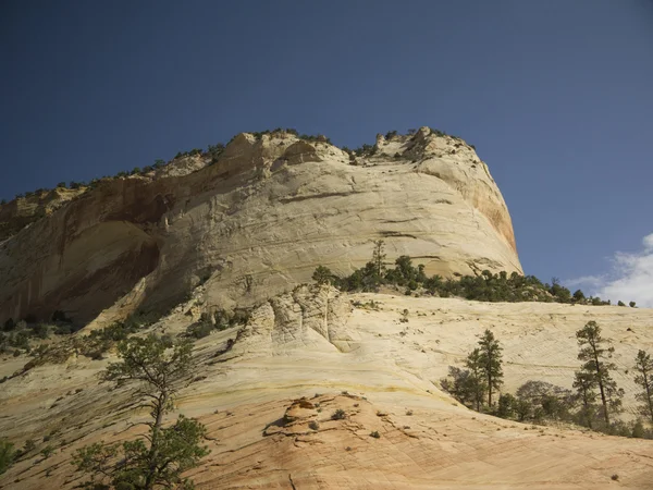 Die berge, flüsse und tiere des zion nationalparks in utah usa — Stockfoto