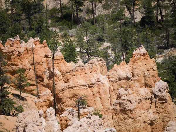 Il BryceCanyon si distingue per le sue strutture geologiche, chiamate hoodoos, formate dal vento, dall'acqua e dall'erosione glaciale del fiume e dalle rocce sedimentarie del lago queste sono inquietanti e spesso stravaganti. — Foto Stock