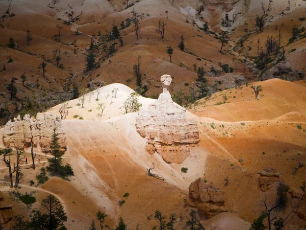 BryceCanyon is distinctive due to its geological structures, called hoodoos, formed from wind, water, and ice erosion of the river and lakebed sedimentary rocks these are eerie and often whimsical — Stock Photo, Image