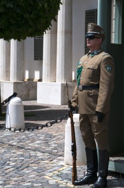Macaristan Cumhurbaşkanı koruma