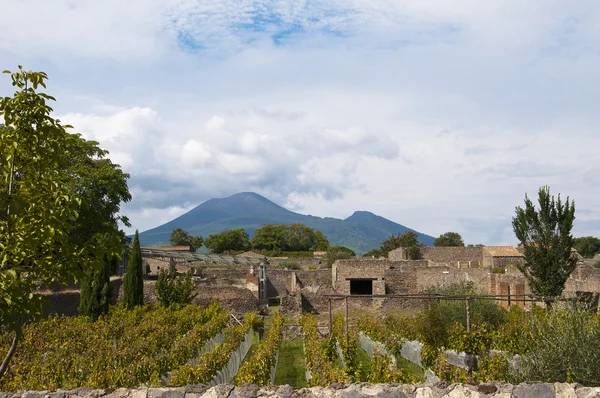 Monte Vesúvio de Pompeia, na Baía de Nápoles — Fotografia de Stock