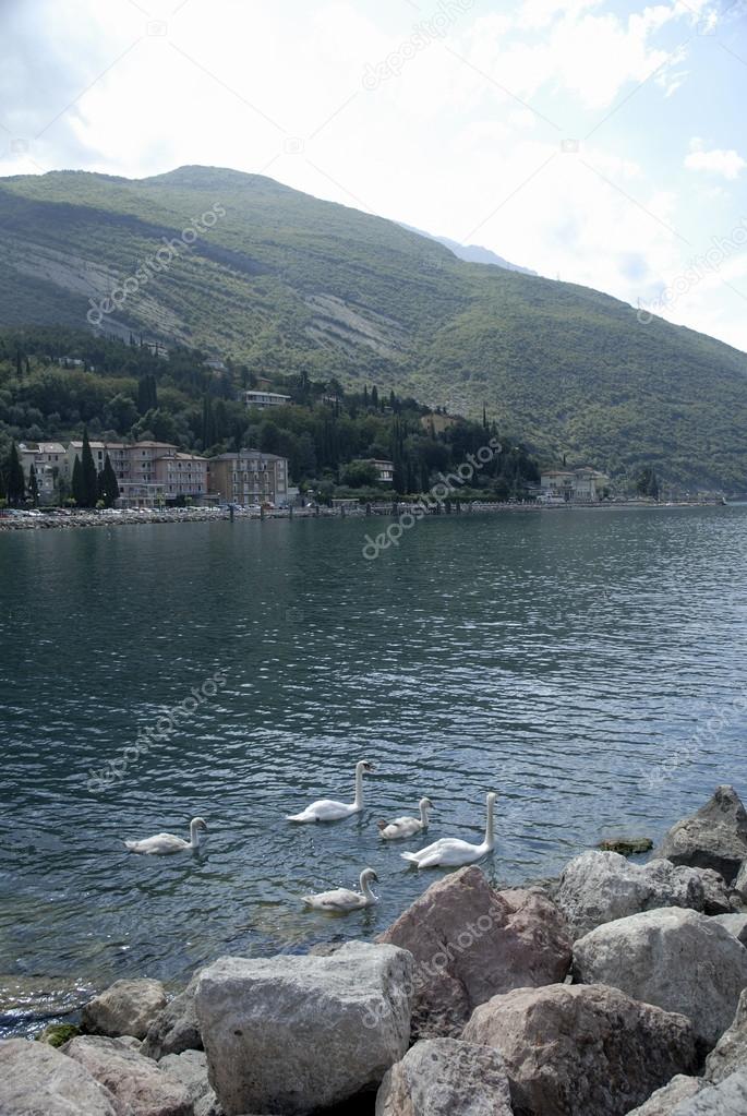 Torbole is situated on the extreme north-western appendix of the Baldo chain in the Trento region of Italy. and it is set as an amphitheatre on Lake Garda.