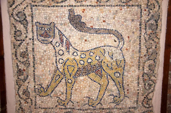 10th century Mosaic of a leopard in church in Ravenna Italy — Stock Photo, Image