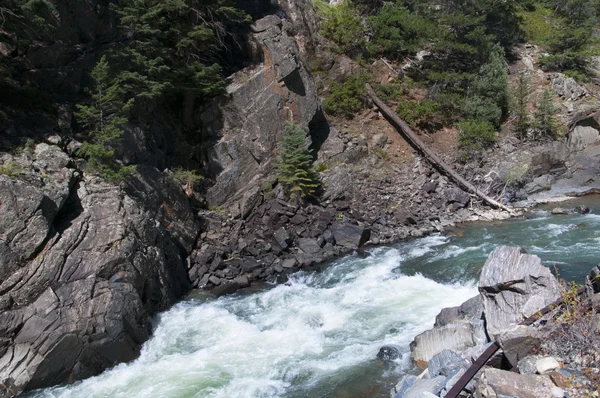 Animas floden från Durango till Silverton järnväg i Colorado Usa — Stockfoto