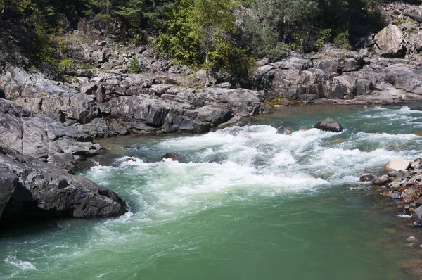 O rio Animas da Durango para Silverton Railway em Colorado EUA — Fotografia de Stock