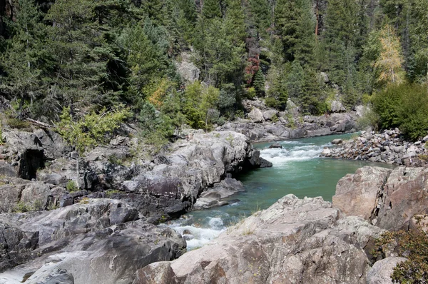 El Río Animas del Durango al Ferrocarril Silverton en Colorado USA —  Fotos de Stock