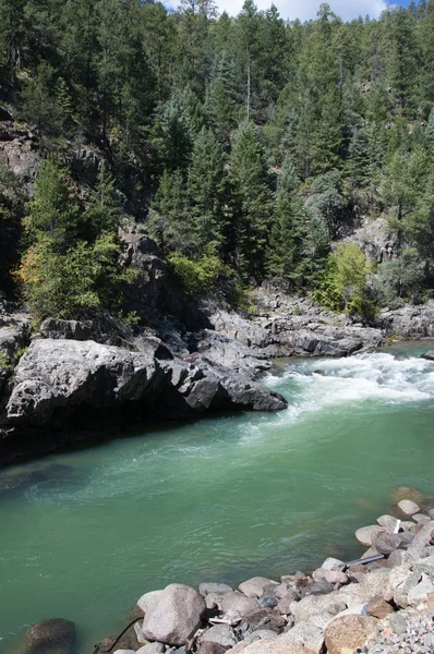 The Narrow Gauge Railway from Durango to Silverton Colorado USA — Stock Photo, Image