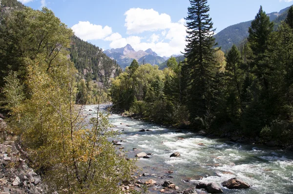 A keskeny nyomtávolságú vasúttal Durango, Colorado Egyesült Államokban Silverton — Stock Fotó