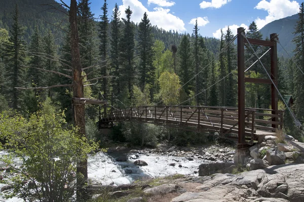 Rocky Mountains med River Animas i Colorado USA – stockfoto