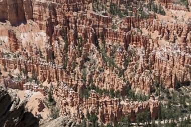Bryce Kanyonu Ulusal Parkı, Utah, ABD
