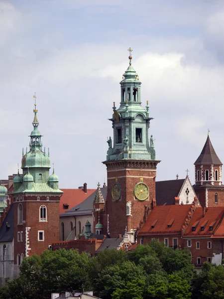 Royal Wawel Kalesi ve katedral Krakow Polonya — Stok fotoğraf