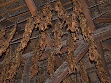 Jamestown Virginia ABD gemileri ve onların iç in liman