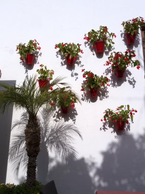 The Stylish Old Town of Marbella on the Costa Del Sol Andalucia, Spain