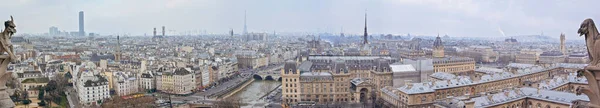 从巴黎圣母院屋顶到巴黎全景 — 图库照片