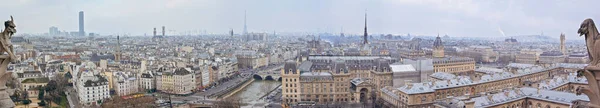 Paris 'in panoramik manzarası Notre Dame' ın çatısından heykel gibi