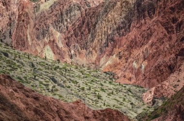 Arjantin, Jujuy 'daki Purmamarca köyündeki renkli tepelerin ve dağların stok fotoğrafı. Peyzaj