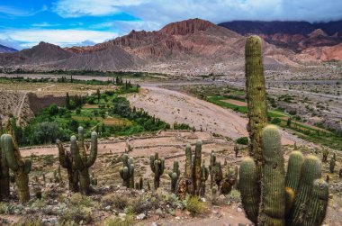 Tilcara arkeolojik alanı Pucara 'nın fotoğrafı - eski inka öncesi kalıntıları - Jujuy, Arjantin. Quebrada de Humahuaca