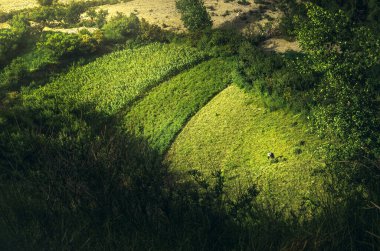 Iruya, Salta, Arjantin yakınlarındaki San Francisco vadisinde renkli tepeler ve dağlarla dolu yeşil bir hasatın stok fotoğrafı. Manzarada hasat yapan adam.