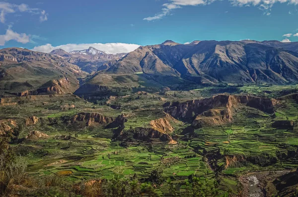 Peru 'daki Colca Kanyonu' ndaki tarımsal tarlaların havadan görünüşü. Güney Amerika vadisi, manzara ve dağlar