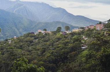 Tepedeki Coroico şehrinin yüksek manzarası. Bolivya 'nın Yungas bölgesi, Güney Amerika. Vadi manzaralı evler