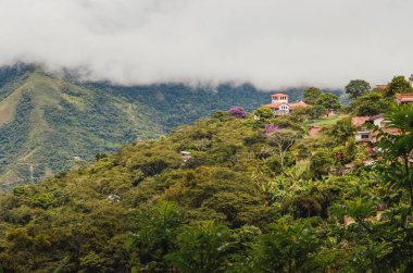Tepedeki Coroico şehrinin yüksek manzarası. Bolivya 'nın Yungas bölgesi, Güney Amerika. Vadi manzaralı evler