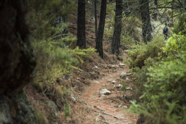 Yalnız bir kadın, Ojen, Malaga 'da çam ağaçları ve sık çalılıklarla çevrili gölgeli bir ormanın derinliklerine doğru yürür. Derinliğe, suya dalmaya ve şehir hayatından kaçmaya odaklan..