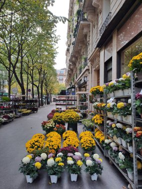 Bahçedeki güzel çiçekler