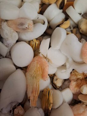 Beyaz arka planda deniz kabukları