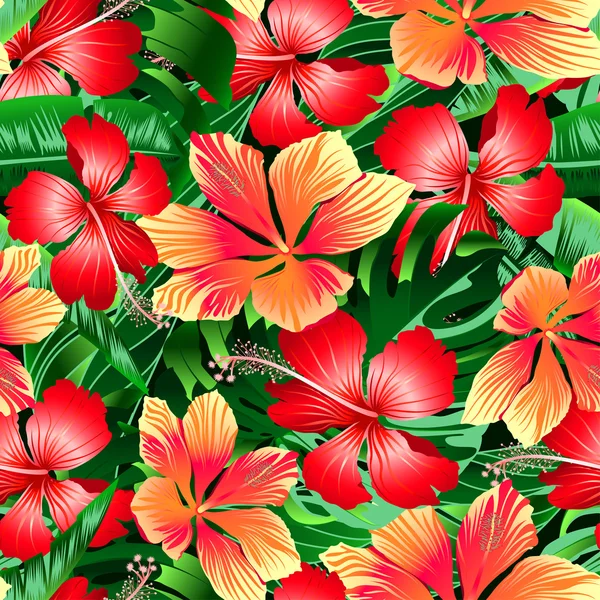 Tropische oranje en rood bonte hibiscus bloemen naadloze pat — Stockvector