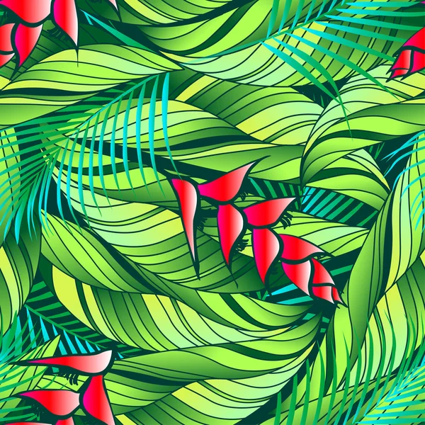 Heliconia tropical. — Vector de stock