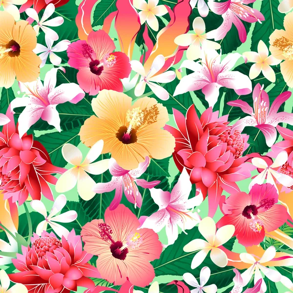 Hibiscus tropical floral 4 motifs sans couture — Image vectorielle