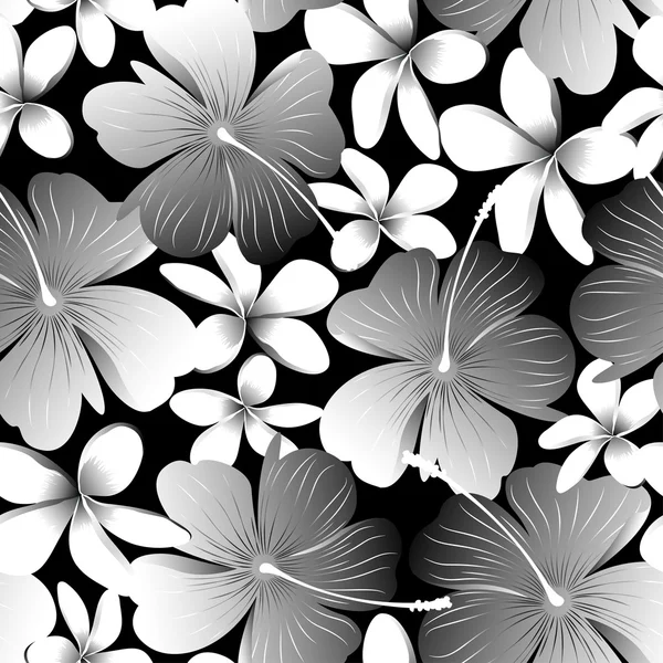 Flor de hibisco tropical blanco con patrón sin costuras frangipani — Vector de stock