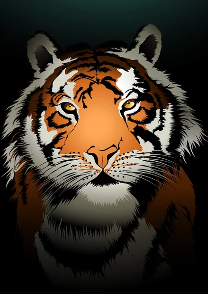 Тигр в темноте — стоковый вектор