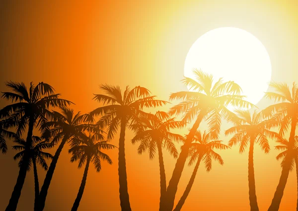 Tropické Palmové stromy siluetu při východu slunce — Stockový vektor