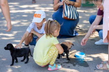 Nikolaev, Ukrayna... 15 Ağustos 2020: sokak köpeklerinin gönüllü sergisi. Köpek eğitimi, sergi hazırlığı, evcil hayvanlar. Çocuklar siyah köpek yavrusunun yanına oturur. Çok mutlular.