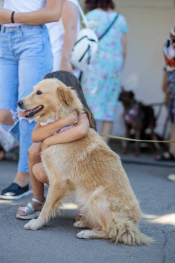 Nikolaev, Ukrayna... 15 Ağustos 2020: sokak köpeklerinin gönüllü sergisi. Köpek eğitimi, sergi hazırlığı, evcil hayvanlar. Bir kız büyük kırmızı bir köpeğe sarılıyor ve mutlu oluyor. Köpek poz veriyor.