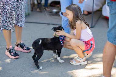 Nikolaev, Ukrayna... 15 Ağustos 2020: sokak köpeklerinin gönüllü sergisi. Köpek eğitimi, sergi hazırlığı, evcil hayvanlar. Küçük bir kız siyah bir köpekle oynuyor.