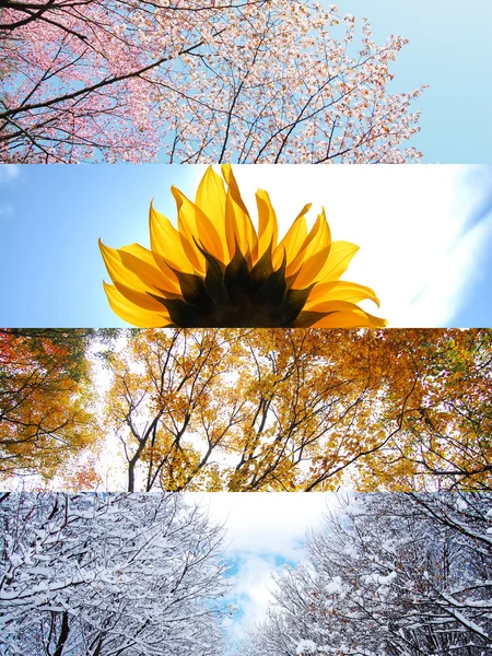 Stagione, primavera, estate, autunno, inverno — Foto Stock